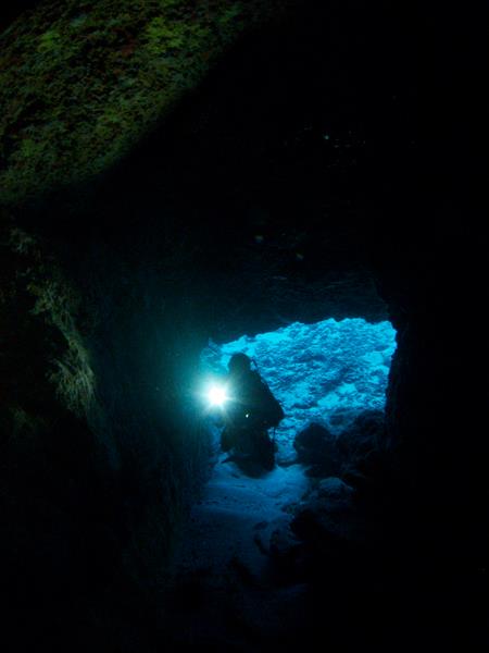 b0062363_817119.jpg
