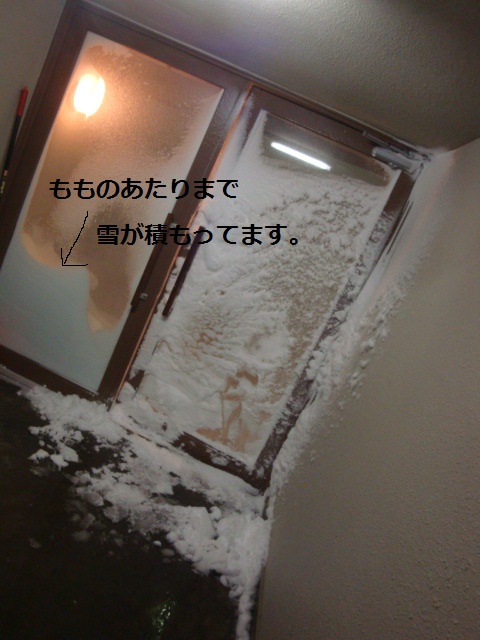 d0198074_0134040.jpg