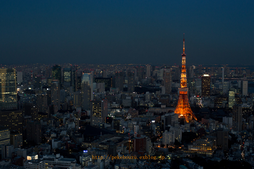 c0210275_2162985.jpg