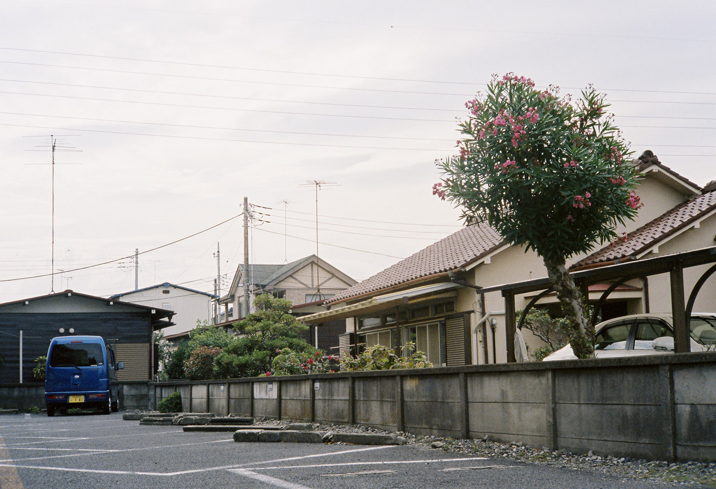 d0286980_1563487.jpg