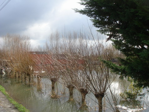 a0247585_616021.jpg