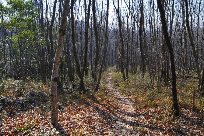 b0255992_1673617.jpg