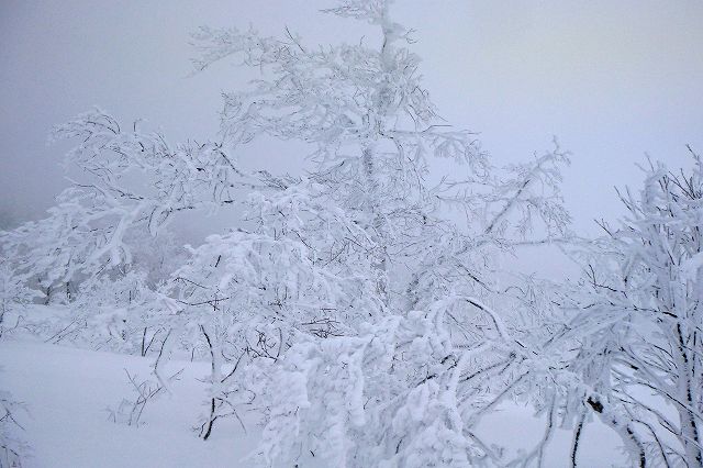 e0137200_11464860.jpg