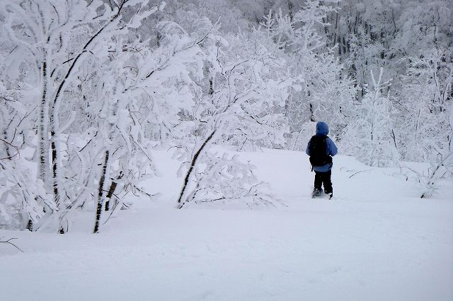 e0137200_1147746.jpg