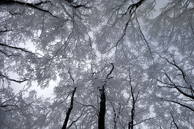 e0137200_1148773.jpg
