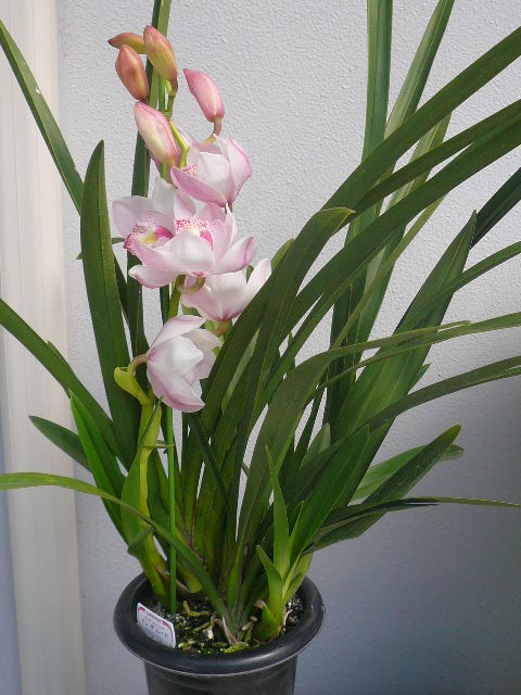 e0026017_11224440.jpg
