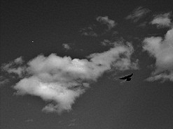 b0252727_2147142.jpg