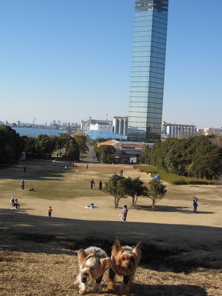 f0002833_1743536.jpg
