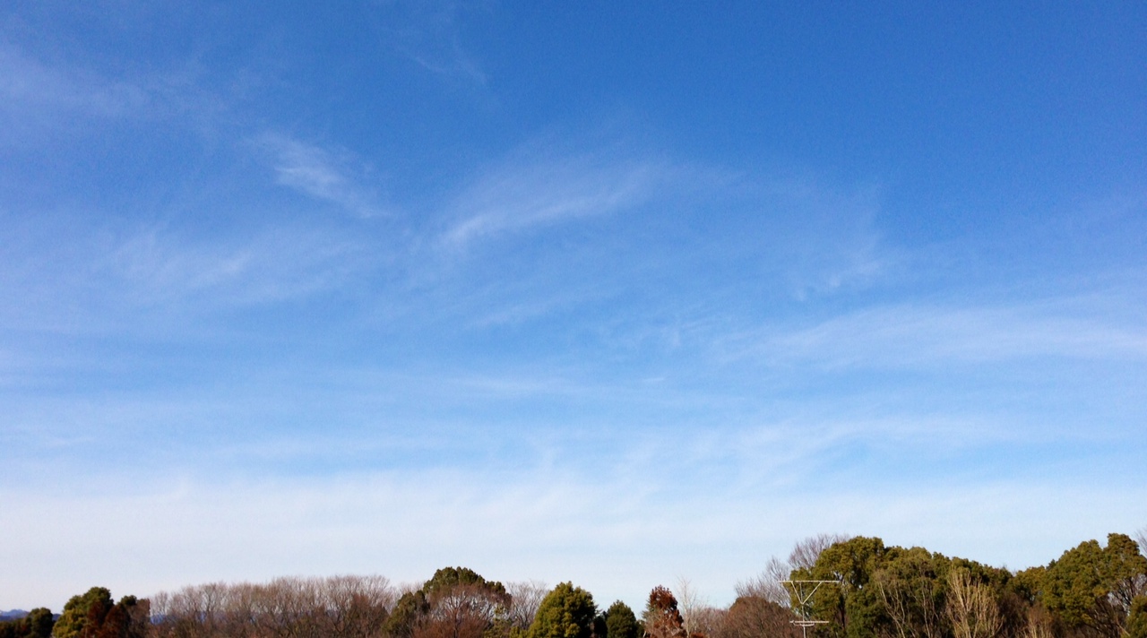 e0206242_9431269.jpg