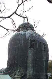 f0179947_14222.jpg