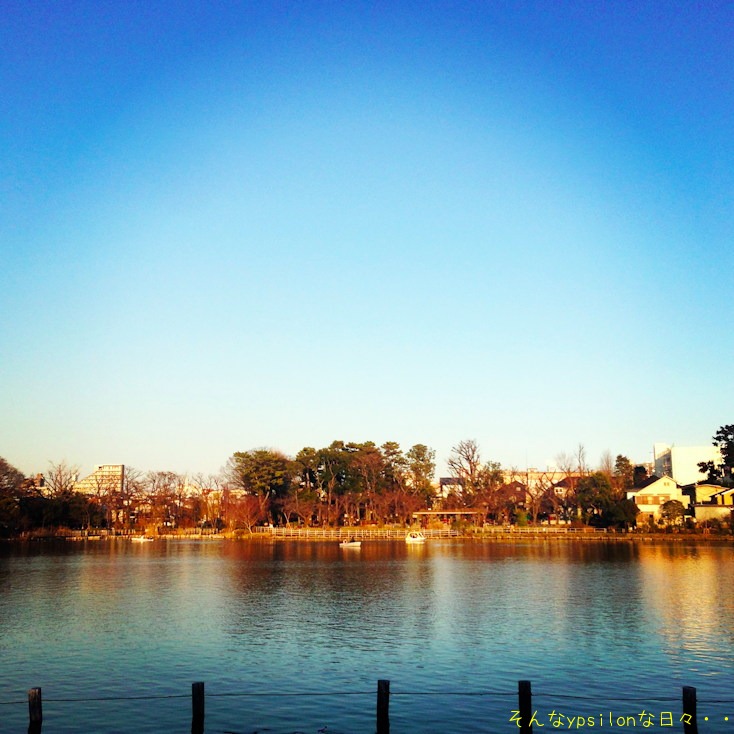a0030748_1841142.jpg