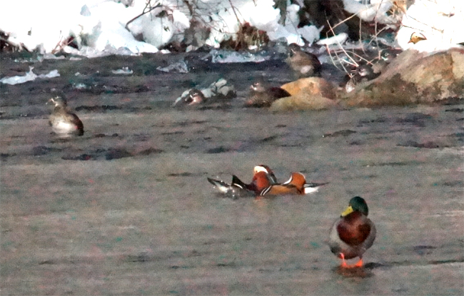 f0214649_540403.jpg
