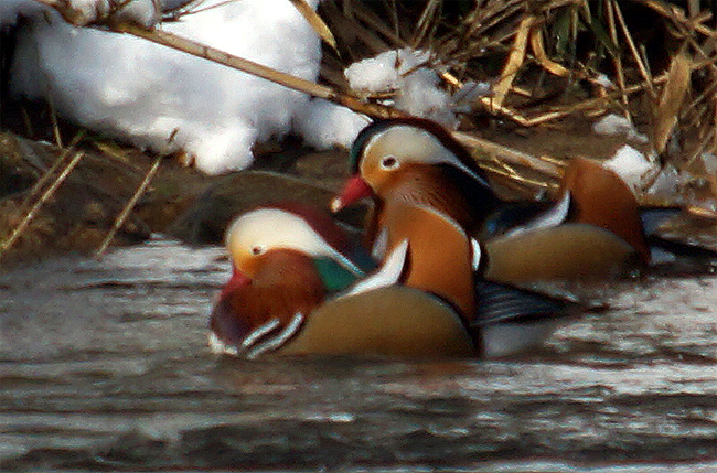 f0214649_5581285.jpg