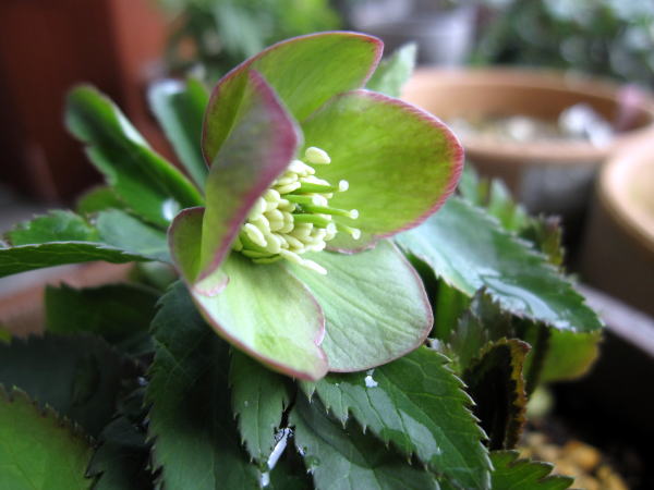c0147952_22162460.jpg