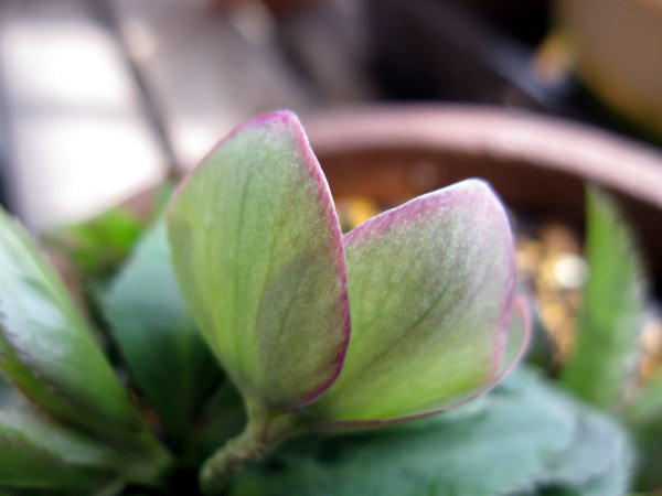 c0147952_22163552.jpg