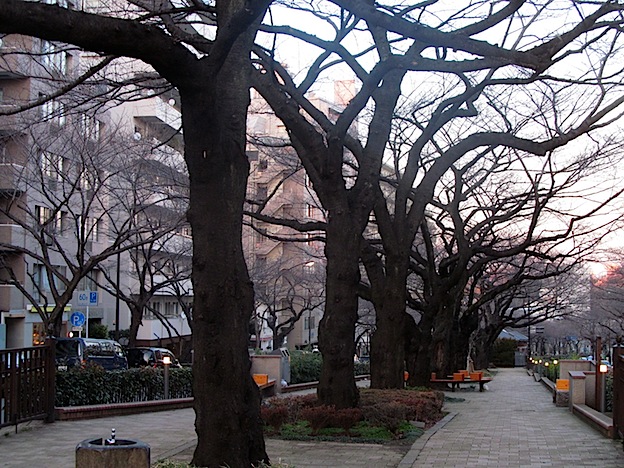 f0178153_2204585.jpg