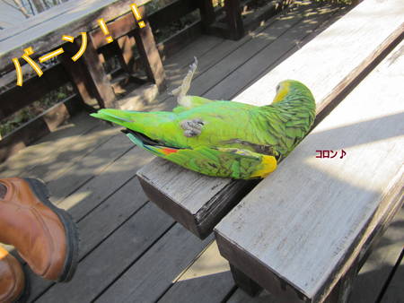 d0264176_20204639.jpg