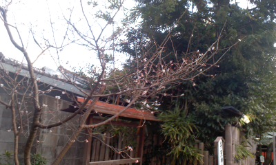 c0069380_1491458.jpg
