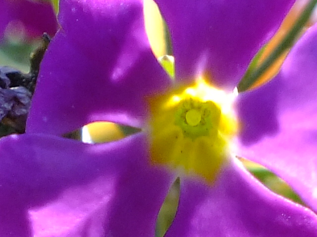 e0145782_17483757.jpg