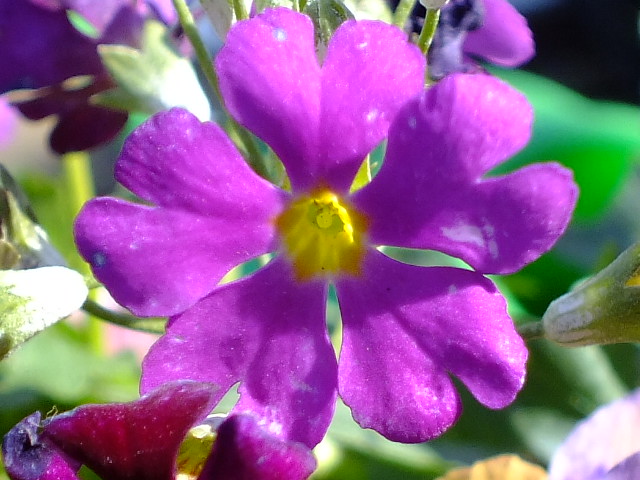 e0145782_1748897.jpg