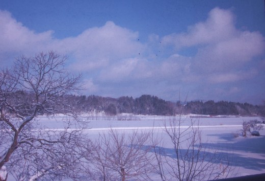 c0168584_9585831.jpg