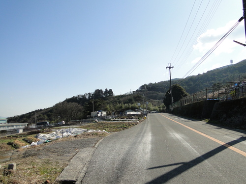 a0251786_23174627.jpg