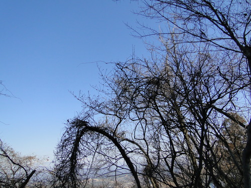 a0251786_23231491.jpg