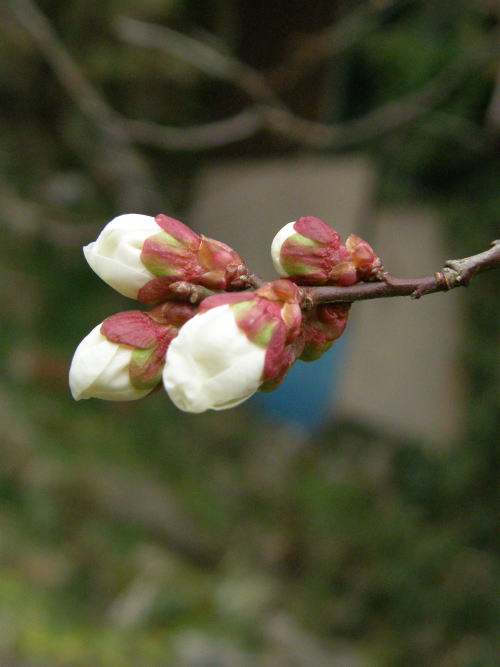 e0017396_22573690.jpg