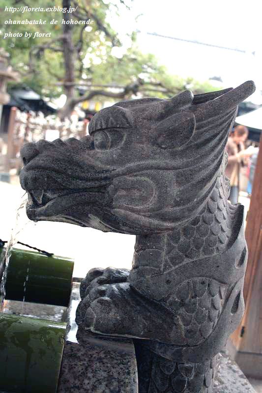 f0083400_15512569.jpg