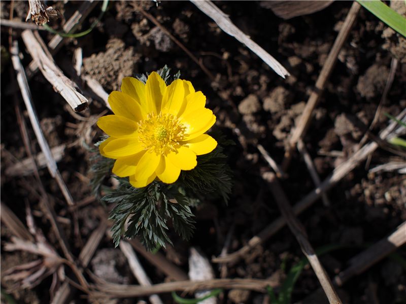 f0224100_2254125.jpg