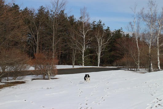 f0034602_18441969.jpg