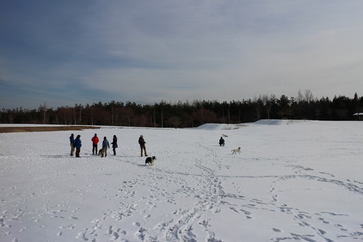 f0034602_18445268.jpg