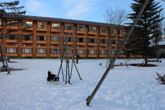 f0034602_18571588.jpg