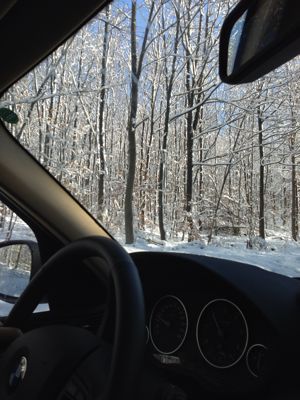 f0248903_429622.jpg