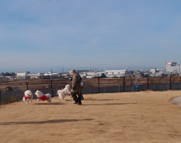 e0018604_12273776.jpg