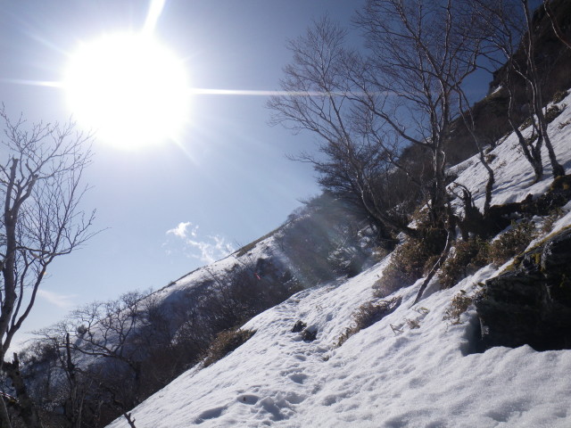 d0006512_21554174.jpg