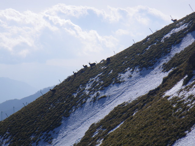 d0006512_21591686.jpg