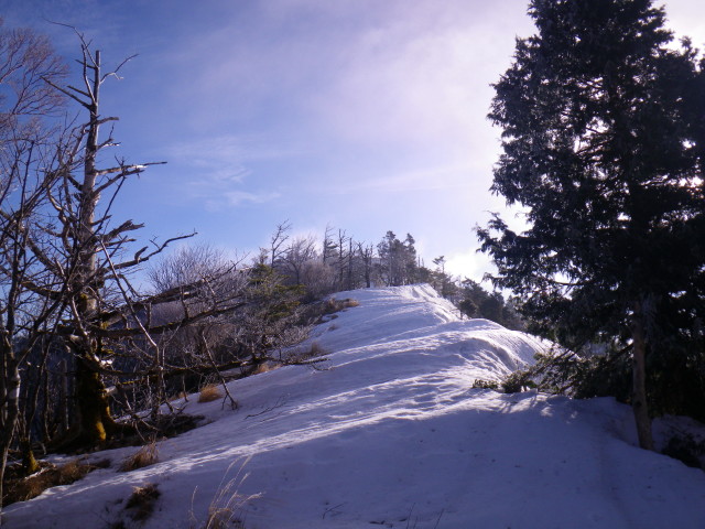 d0006512_222263.jpg