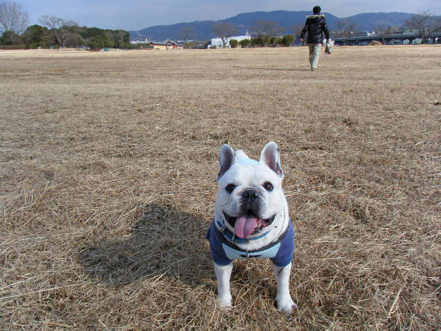 f0090117_1103816.jpg