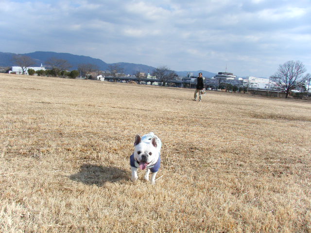 f0090117_1105861.jpg