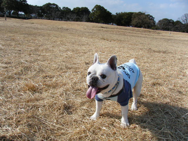 f0090117_1112019.jpg