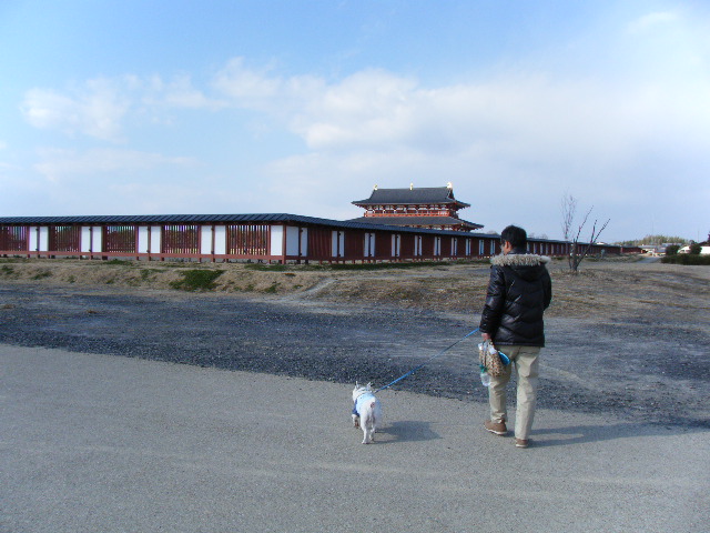 f0090117_113225.jpg