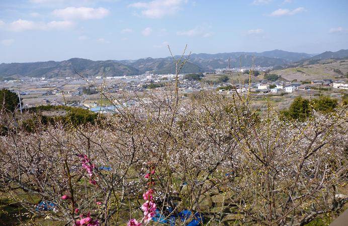 f0228619_22302614.jpg