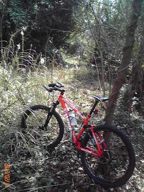 b0222530_17211073.jpg
