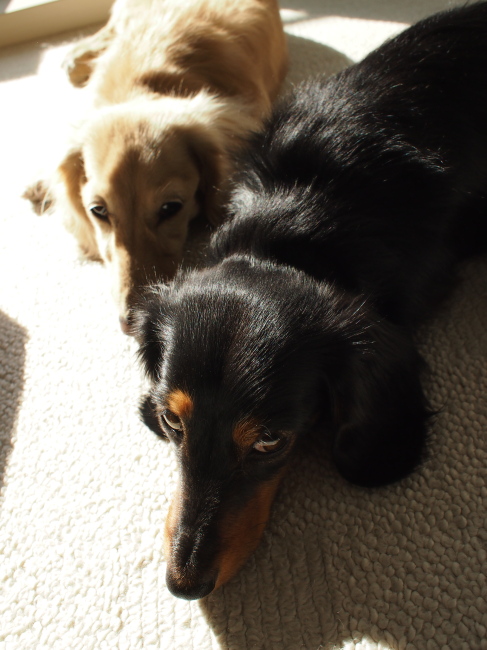 c0117831_20151625.jpg