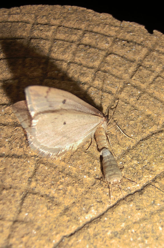a0126632_14514977.jpg