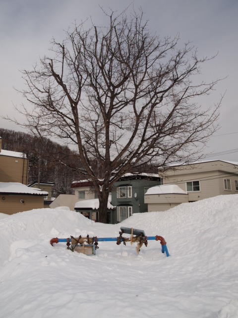 c0117239_821948.jpg