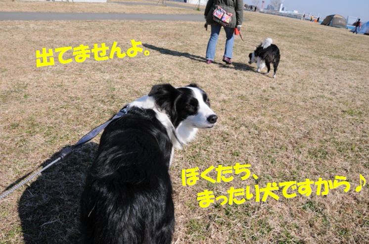 c0147241_10355883.jpg