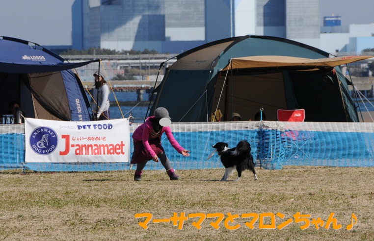 c0147241_10361654.jpg
