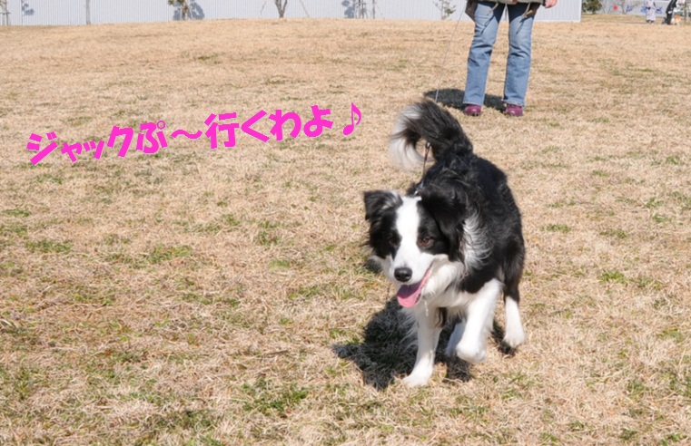c0147241_10362570.jpg
